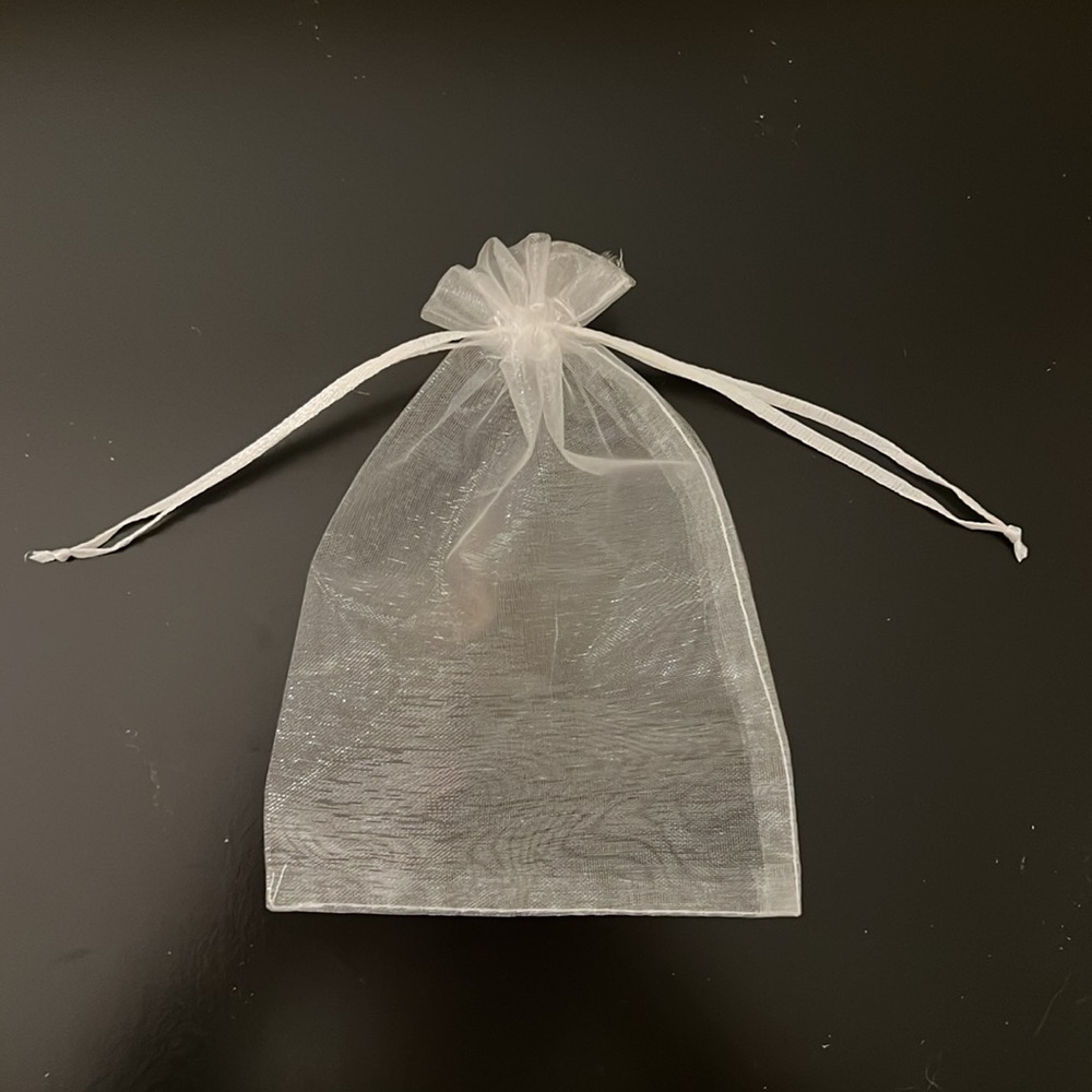 Silver Mesh Pouch